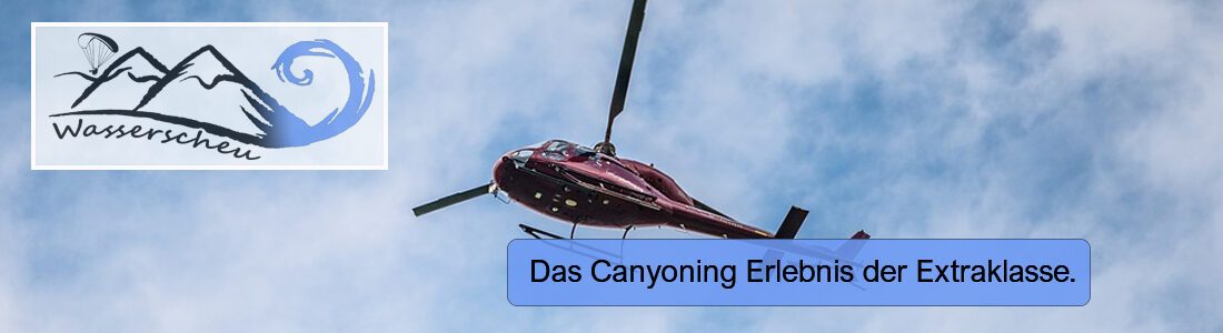 wasserscheu.at